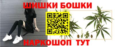 сатива Заволжье