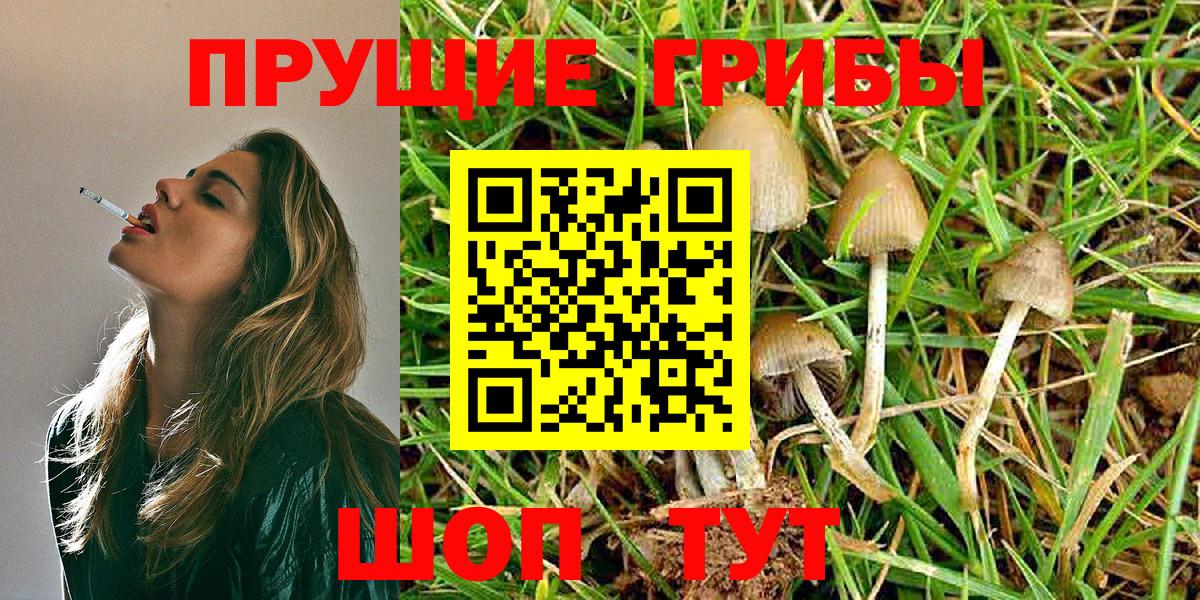 Псилоцибиновые грибы MAGIC MUSHROOMS Пугачёв